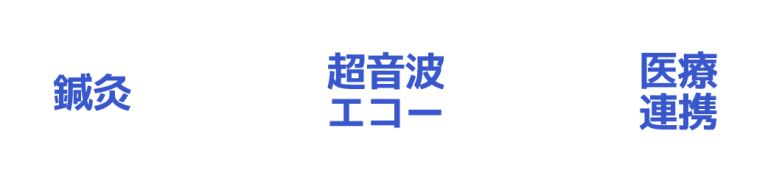 鍼灸x軟部組織x超音波エコー